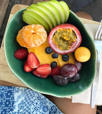 Carly Johnson Brawner of Frolic & Flow takes Onzie on her  Costa Rican Wellness Retreat!