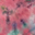 ROSE WASH